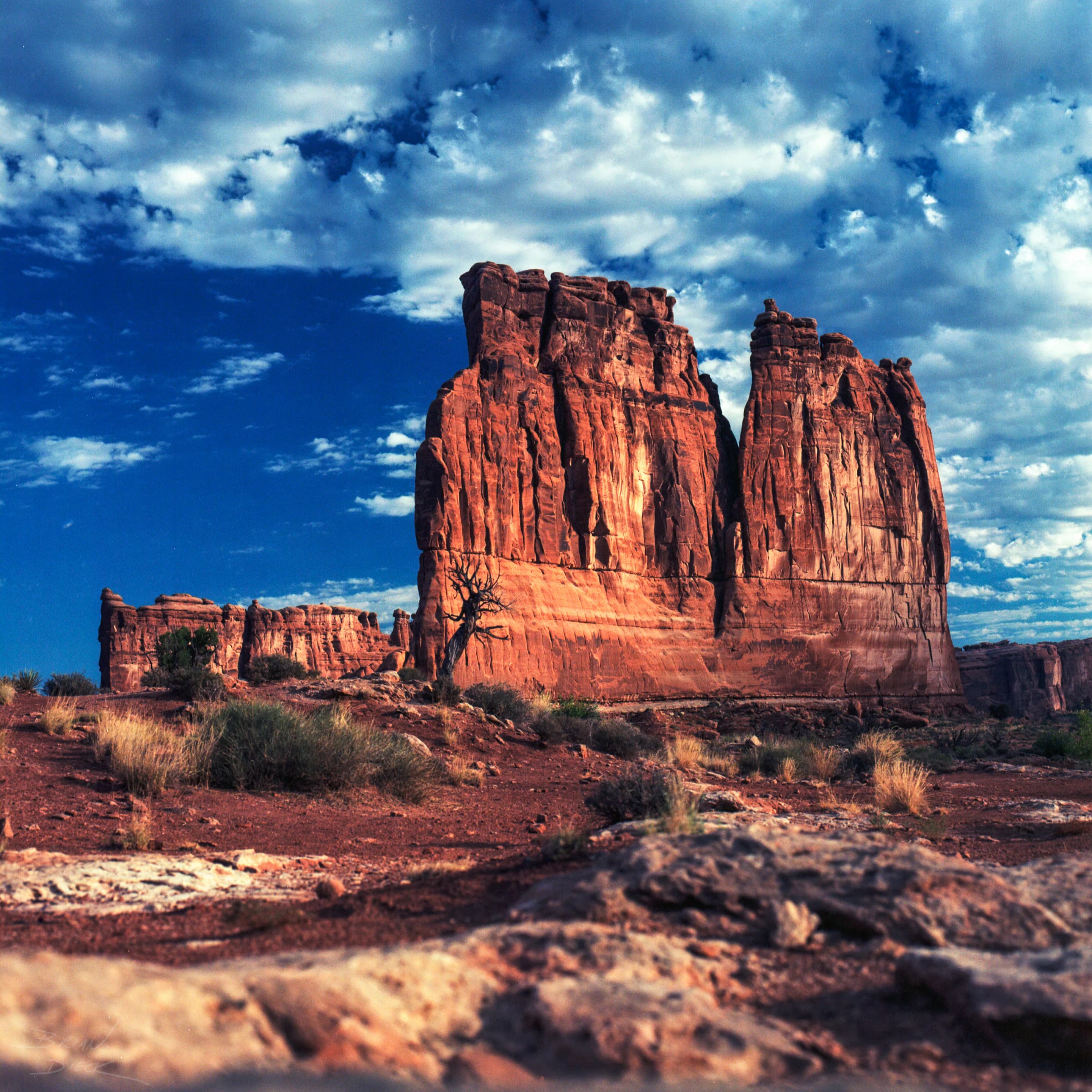 Arches