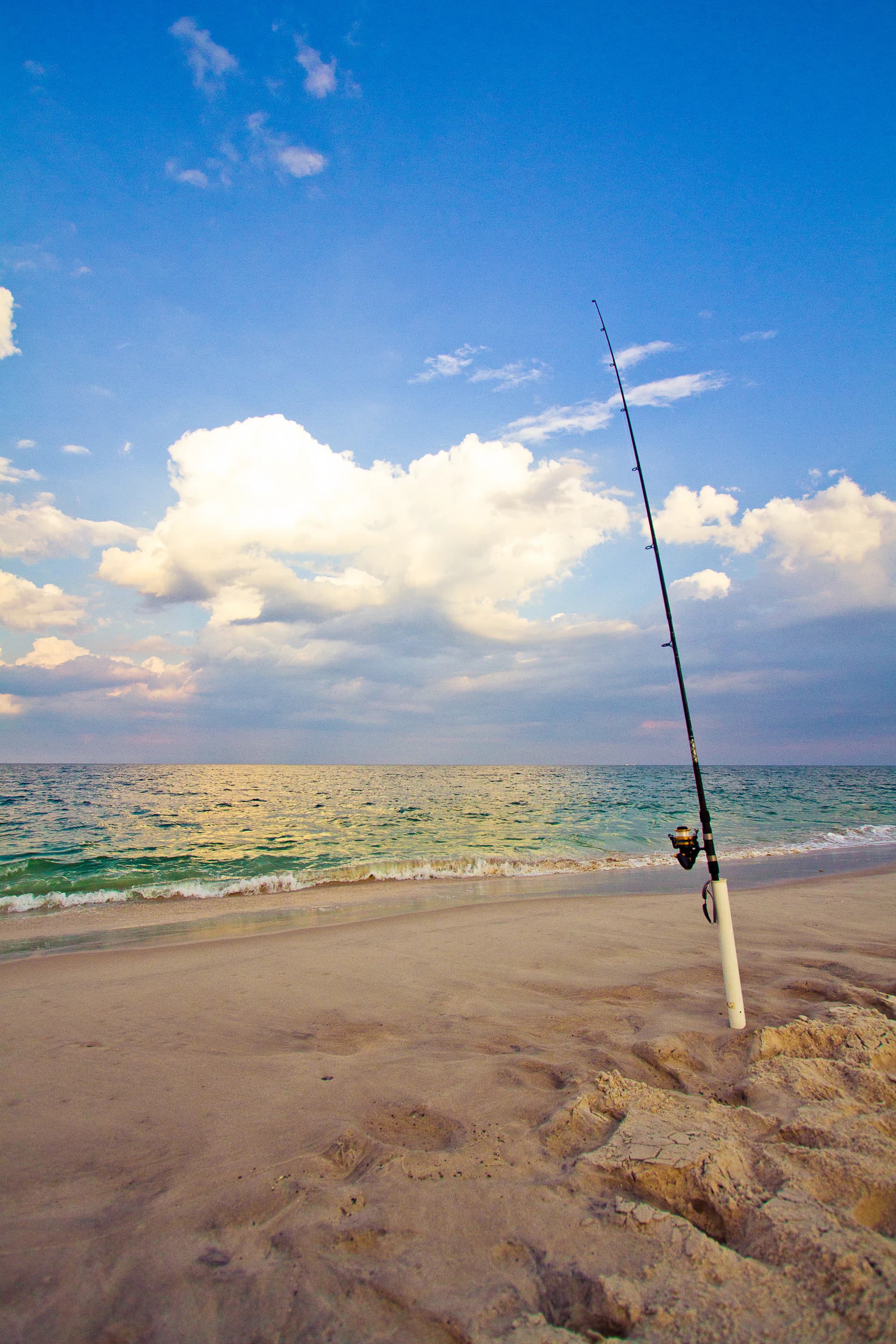 Beach Fishing