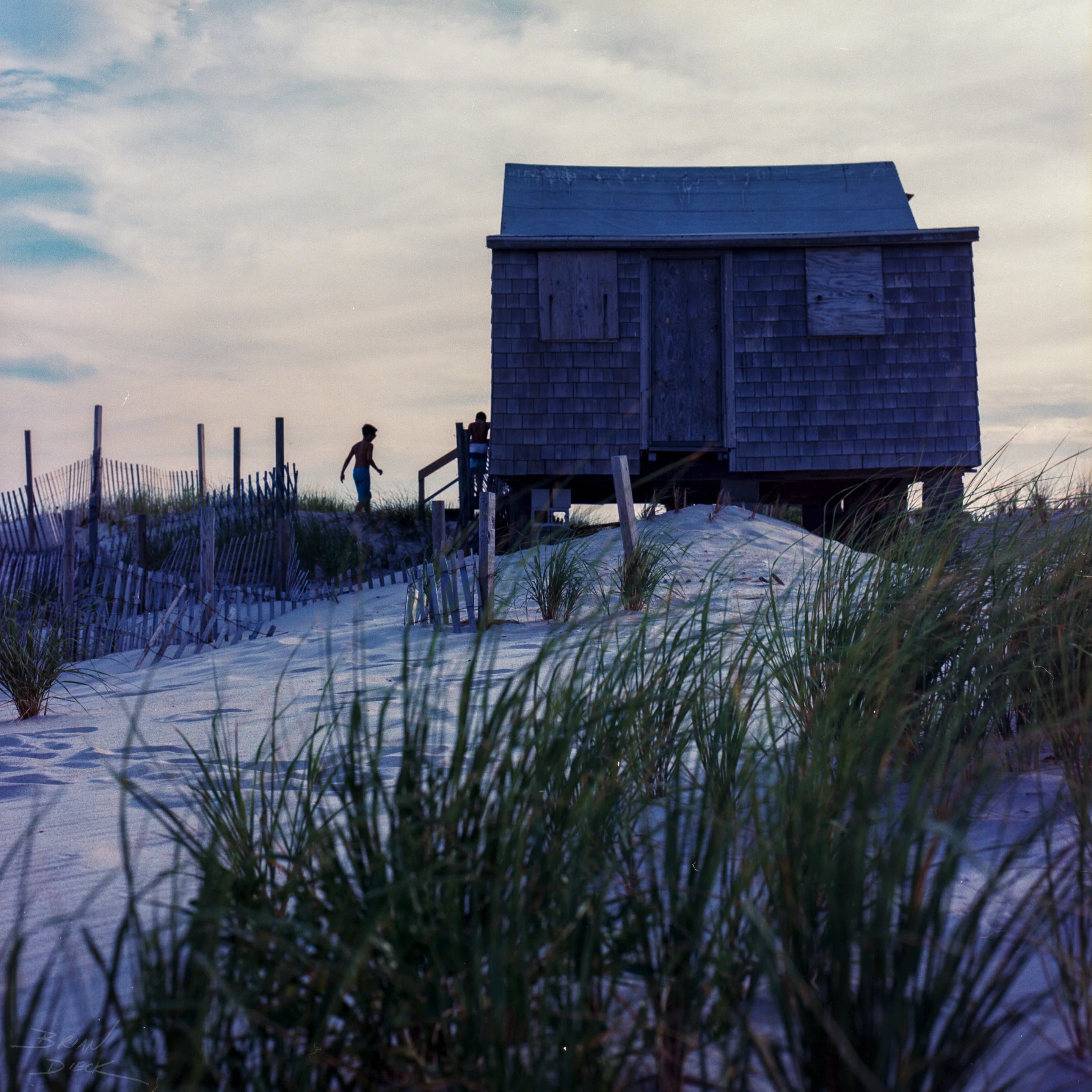 Beach House