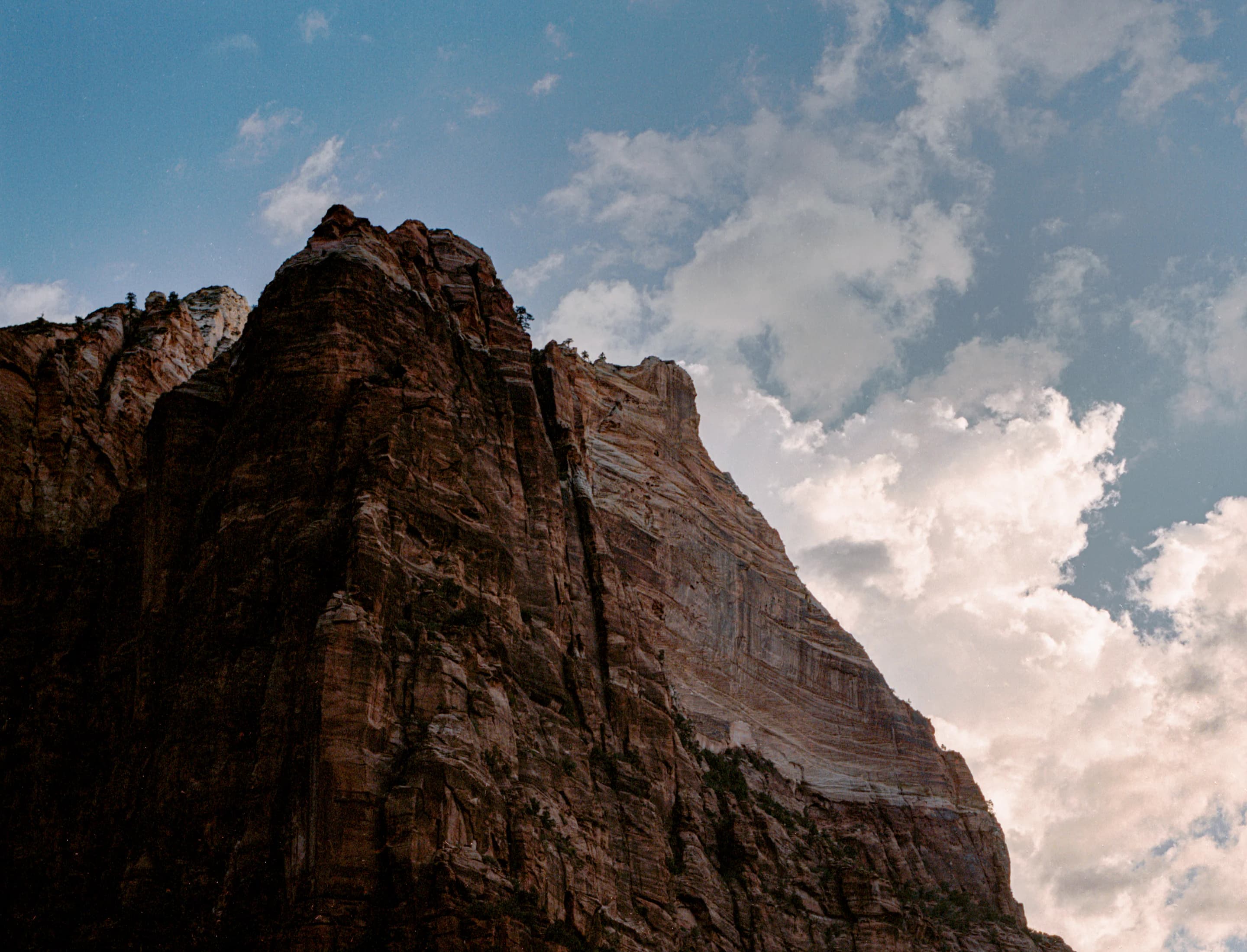 Zion Cliffs