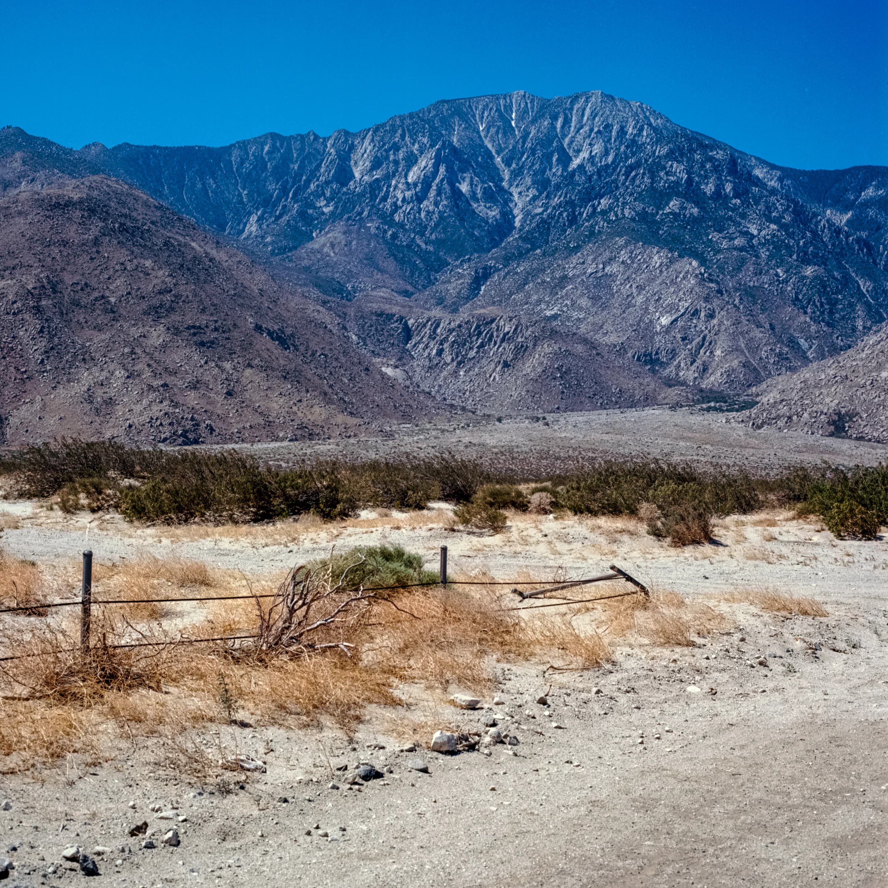 Desert Range