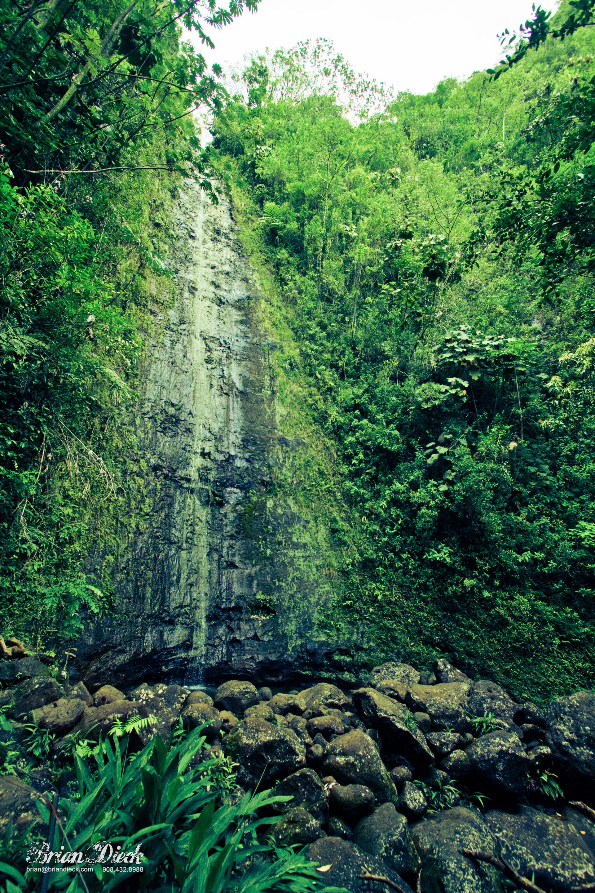 Dominica Waterfall