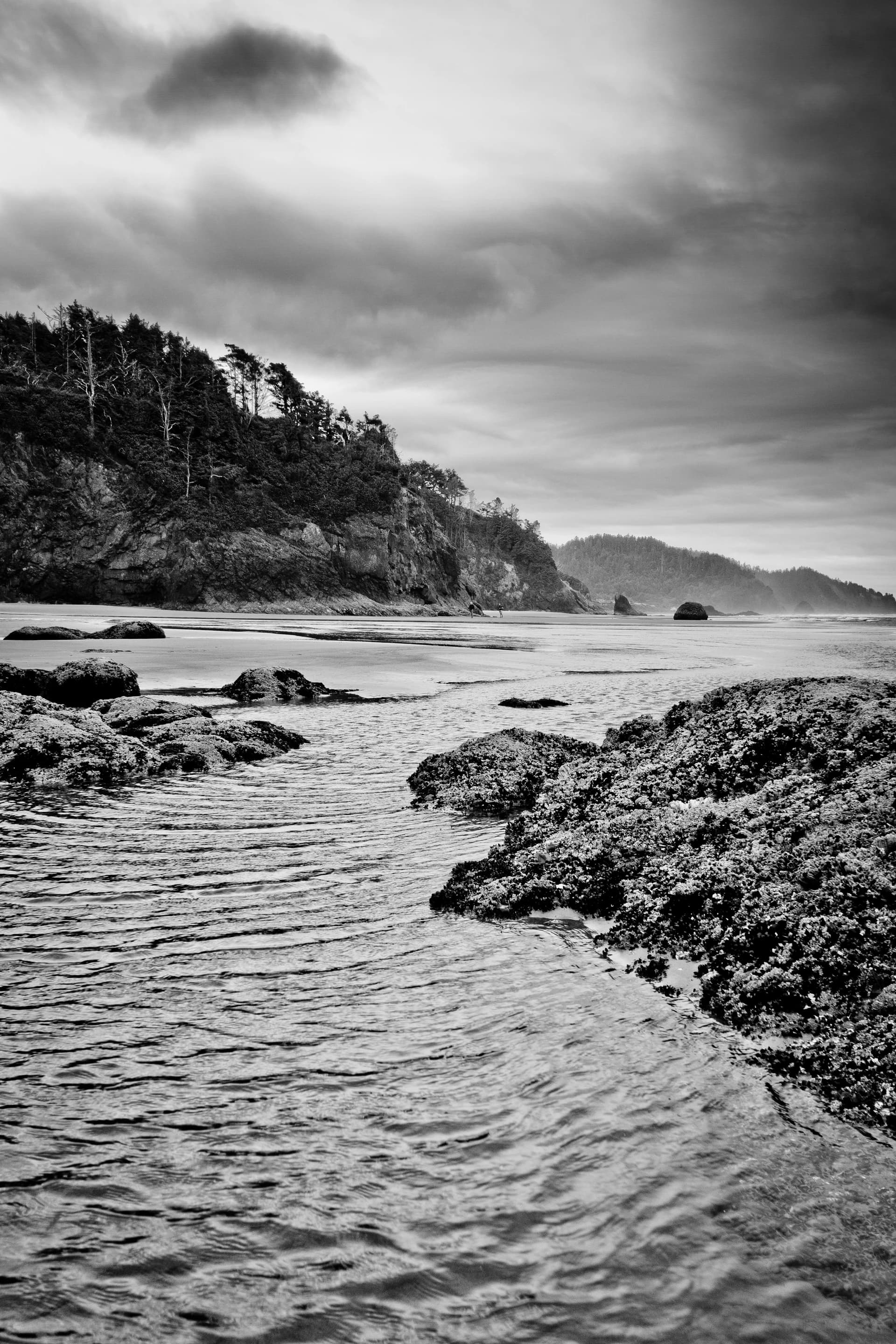 Oregon Coast in Black and White
