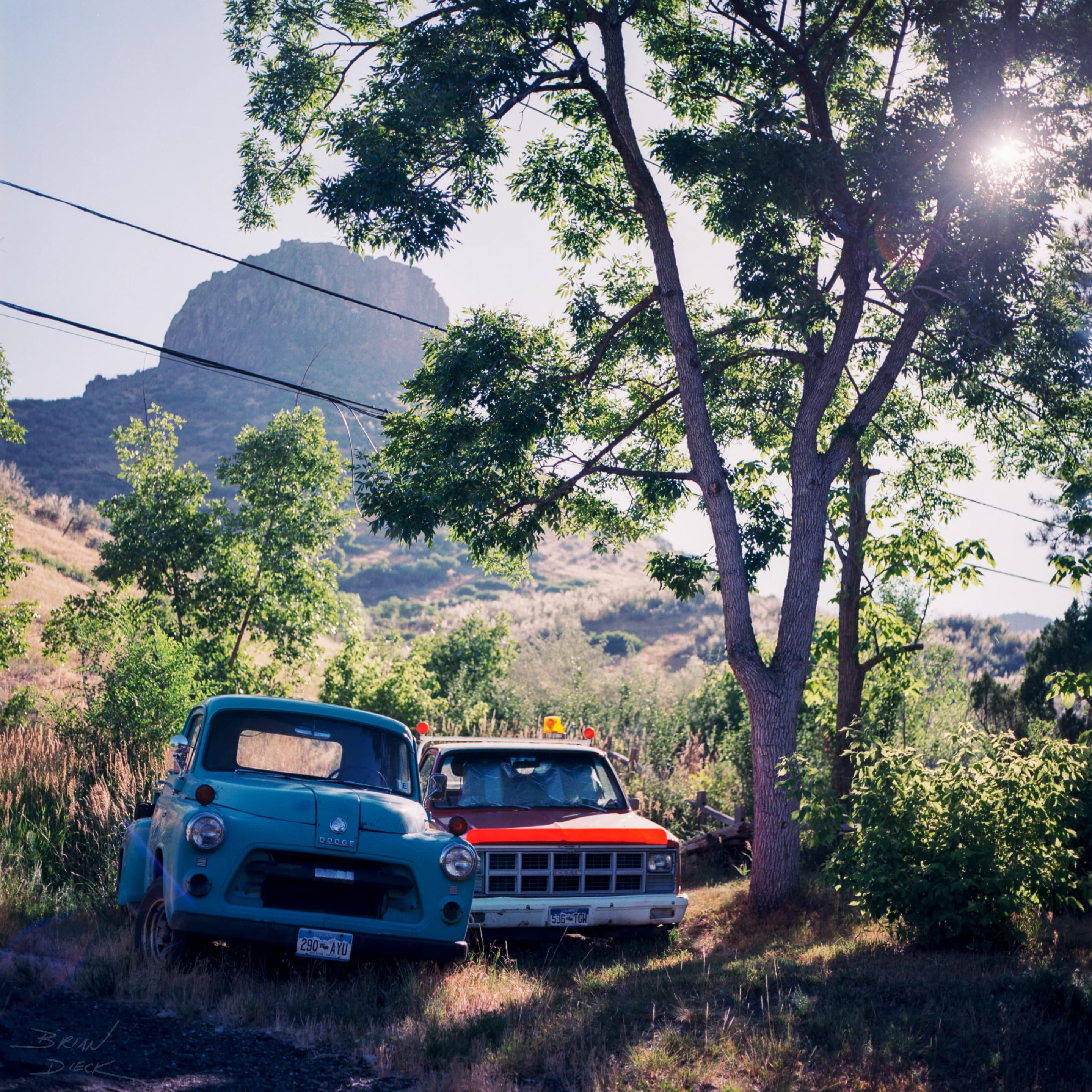 Trucks in the Sun